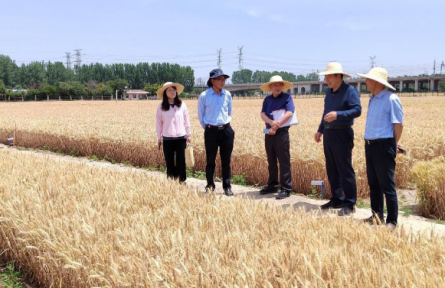 審計糧食安全，端牢中國“飯碗”