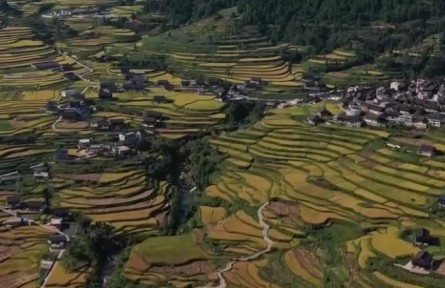 2022年上半年鞏固脫貧成果接續(xù)鄉(xiāng)村振興新進(jìn)展：通過產(chǎn)業(yè)就業(yè)幫扶 增加脫貧戶收入