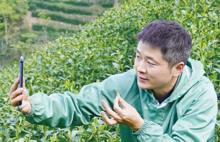 青年茶農(nóng)周正祥：“手藝人”也是“守藝人”