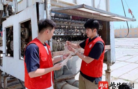 效率提高20倍！南京林業(yè)大學(xué)學(xué)子發(fā)明智能分揀系統(tǒng)，助力新疆長絨棉豐產(chǎn)增收