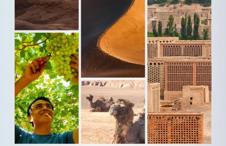 時(shí)政新聞眼|習(xí)近平考察吐魯番，關(guān)注了哪些獨(dú)特之處？