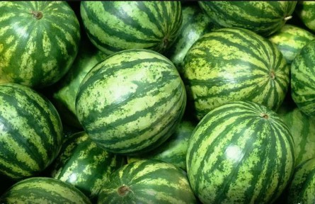 二十四節(jié)氣｜大暑時節(jié)，“瓜王”手把手教您挑西瓜！