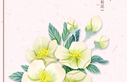 物種故事 | 茉莉花：風(fēng)露扶疏蔓翠藤，玉花剪刻見層層