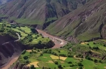 西藏察雅：青稞小麥陸續(xù)成熟 開始收割