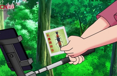 隱翅蟲落在皮膚上，切勿拍打