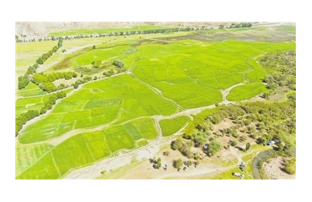 科技滋養(yǎng)雪域高原 西藏高質(zhì)量發(fā)展勁頭十足