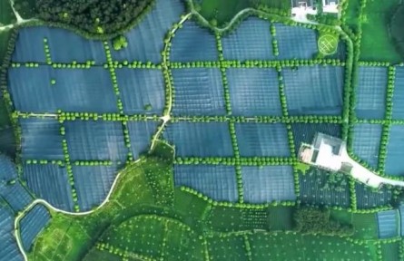 貴州、遼寧 、湖南開(kāi)拓創(chuàng)新走好綜合發(fā)展鄉(xiāng)村振興之路