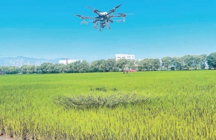 北京：無人機(jī)飛防作業(yè)首用4項(xiàng)綠色新技術(shù)