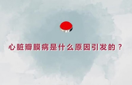 健康問答 | 心臟瓣膜病是什么原因引發(fā)的？如何精準治療？