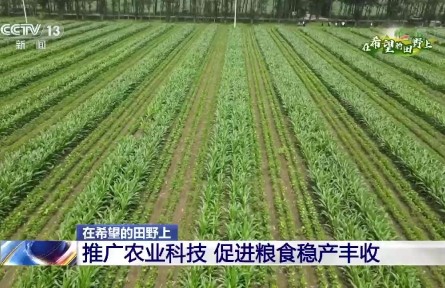 數(shù)字信息采集、肥水一體化自動灌溉……這些智慧農(nóng)業(yè)設(shè)施幫助農(nóng)民抗旱保豐收