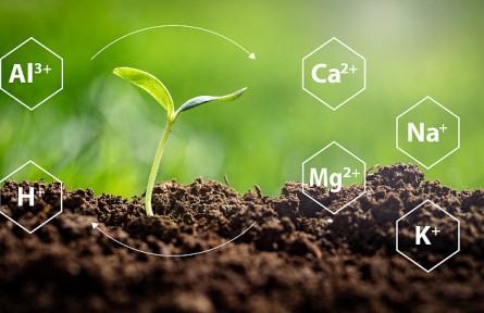 科技名詞 | 陽離子交換量    cation exchange capacity，CEC