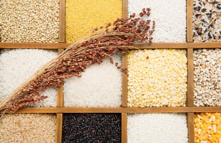 ?辟謠 | 粗糧就是“全谷物”？要看是否經(jīng)過精細化加工