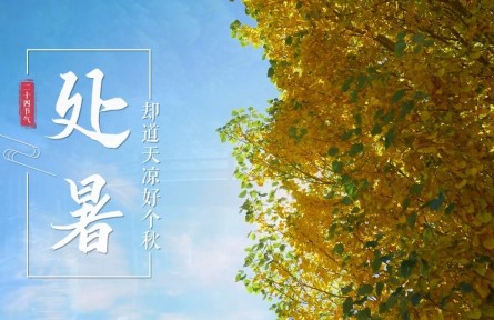 處暑，卻道天涼好個秋