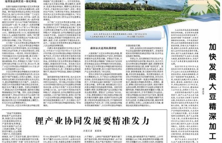 大豆玉米復合種植還需闖關