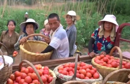 陜西：“土特產(chǎn)”變“搶手貨” 電商推動鄉(xiāng)村振興大有可為