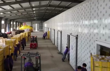 關(guān)注農(nóng)產(chǎn)品產(chǎn)地冷藏保鮮設(shè)施建設(shè) 成為鞏固拓展脫貧攻堅成果有力抓手