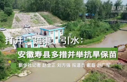 打井、疏渠、引水：安徽壽縣多措并舉抗旱保苗