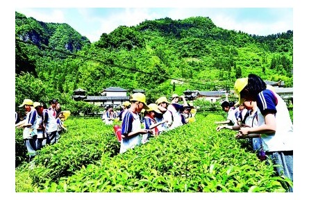 “耕”以強(qiáng)體，“讀”以潤心——我國耕讀教育開展情況調(diào)研報(bào)告