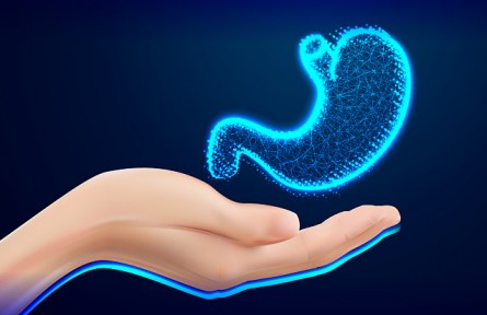 胃越撐越大、越餓越小是真的嗎？