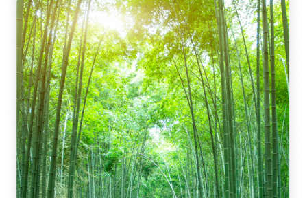 名言 | 孔子：君子不以言舉人，不以人廢言