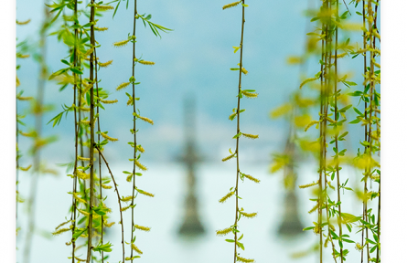 名言 | 荀子：善學(xué)者盡其理，善行者究其難