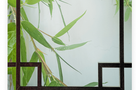 名言 | 孔子：君子成人之美，不成人之惡