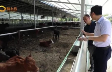 山東濰坊：打造百億級(jí)高檔肉牛產(chǎn)業(yè)集群 產(chǎn)業(yè)振興“?！逼饋?></a></td>
<td align=