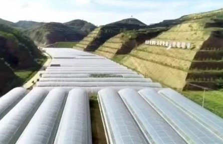 陜西綏德縣郝家橋村：牢記囑托 向“第三個楷?！眾^進