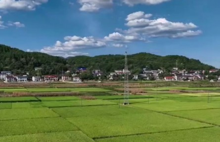 湖南張家界：航拍希望的田野