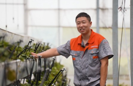 “新農(nóng)人”周浩：青春有夢(mèng) 技藝有承