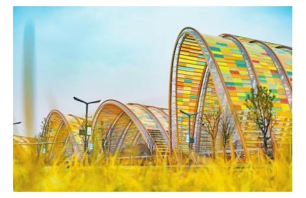 豐收節(jié)，來了！