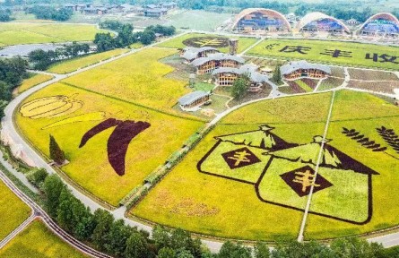 喜看豐景溢芳香——第五個中國農民豐收節(jié)各地掃描