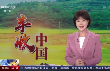 我國綠色有機(jī)地理標(biāo)志農(nóng)產(chǎn)品超過6.3萬個