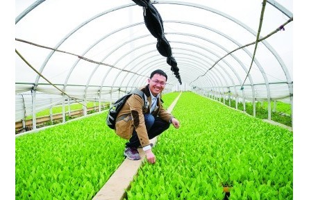 果蔬育種師：陪果蔬一起成長的青春，甜甜的