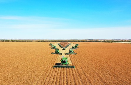 北大荒集團1380余萬畝大豆迎豐收