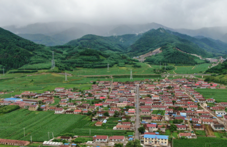 選調生張育儒：我在村里“種產業(yè)”