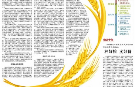 加速品牌化建設，推動糧食產(chǎn)業(yè)高質(zhì)量發(fā)展