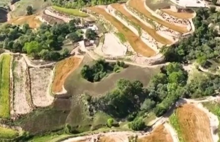 陜西：寒潮低溫來襲 農(nóng)技服務(wù)支招