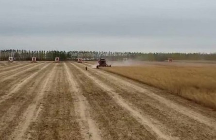 黑龍江：大豆成熟時節(jié) 農(nóng)戶緊張采收