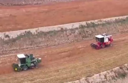 良種良法配套 多地秋糧單產(chǎn)提升