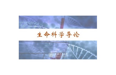 《生命科學(xué)導(dǎo)論》講座系列視頻
