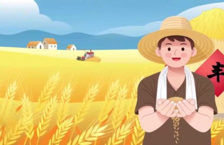 這十年，山東鄉(xiāng)村振興有秘訣