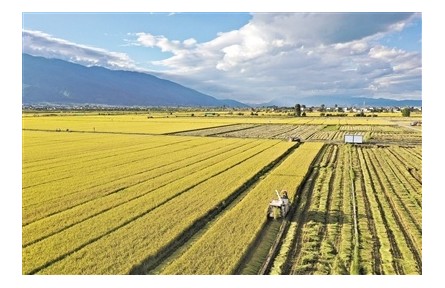 鑒賞 | 唐詩(shī)《過(guò)山農(nóng)家》