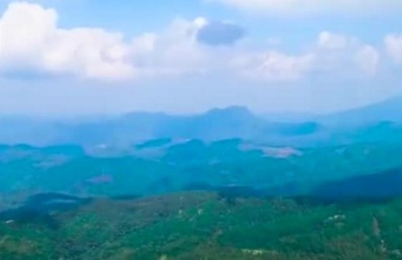 海南：心懷“國之大者” 高水平高質(zhì)量建設海南熱帶雨林國家公園