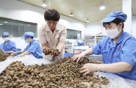 二十大代表譚艷芳：中藥味兒里透著“火藥味兒”