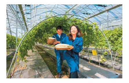 推進(jìn)鄉(xiāng)村振興 邁向共同富?！蟠碚剬W(xué)習(xí)貫徹黨的二十大精神