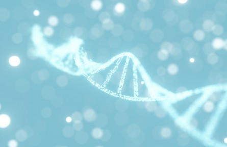 科技名詞 | 長(zhǎng)壽基因 longevity genes