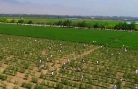 2022年前三季度脫貧攻堅成果持續(xù)鞏固 加快發(fā)展產(chǎn)業(yè) 進一步鞏固脫貧攻堅成果