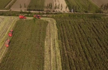 山東高密：13.5萬(wàn)畝托管大田，塊塊都有“專(zhuān)職保姆”