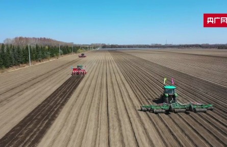 黑龍江省糧食生產(chǎn)實(shí)現(xiàn)“十九連豐”